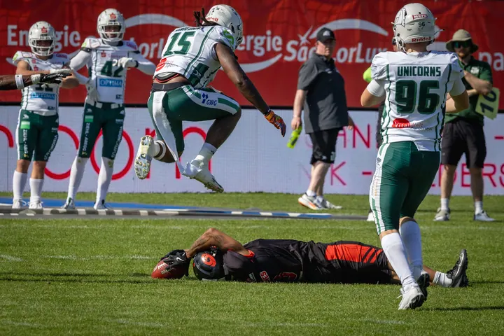 Thof Hurricanes Unicorns 0603