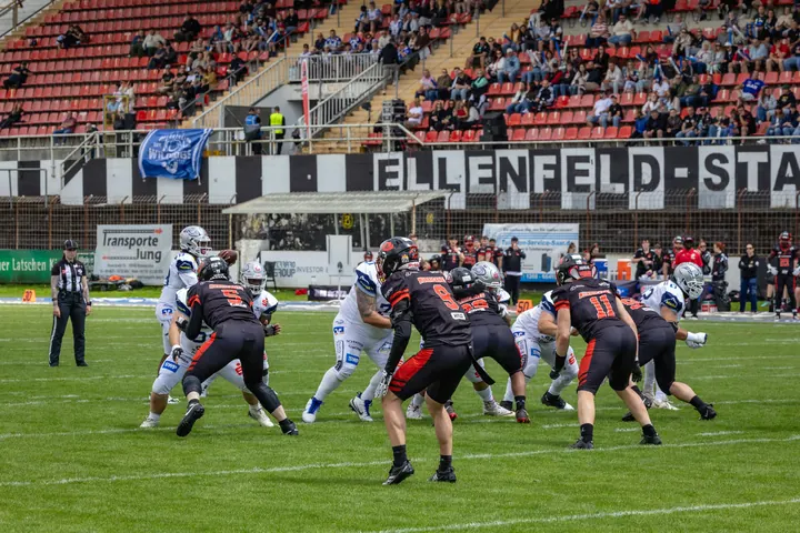 Thof Hurricanes Widdogs 0474